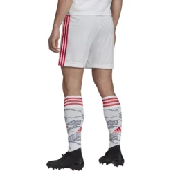 Adidas FC Bayern München 21/22 Ausweichshorts Herren -Sport 2000 Geschaft adidas 112016 gm5314 model2