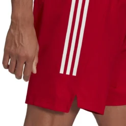 Adidas Condivo 21 Primeblue Shorts Herren 22 Adidas Condivo 21 Primeblue Shorts Herren -Sport 2000 Geschaft adidas 1648813574 GJ6810 model5