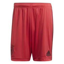 Adidas DFB Torwart-Heimshorts Herren