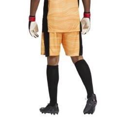 Adidas Condivo 21 Primeblue Torwartshorts Herren -Sport 2000 Geschaft adidas 3820690861 GJ7689 model2