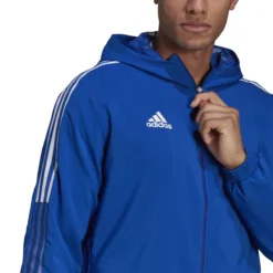 Adidas Tiro 21 Windbreaker Herren -Sport 2000 Geschaft adidas 667159187 GP4963 model3
