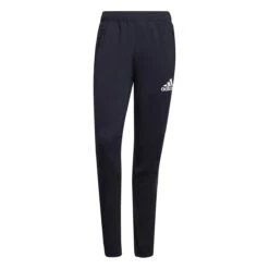 Adidas AEROREADY Designed To Move Sport Motion Logo Hose Herren