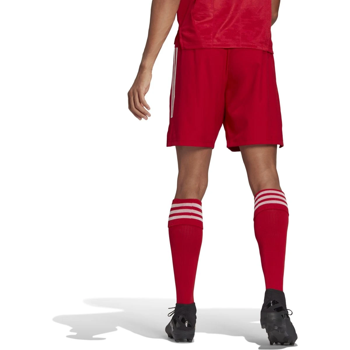 Adidas Condivo 21 Primeblue Shorts Herren 11 Adidas Condivo 21 Primeblue Shorts Herren – Bild 11