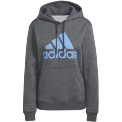 Adidas Essentials Big Logo Regular Fleece Hoodie Damen