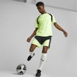 Puma Future Pro FG/AG Nockenschuhe 13 Puma Future Pro FG/AG Nockenschuhe -Sport 2000 Geschaft puma 107171 02 model2