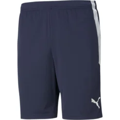 Puma TeamLIGA Training Herren Shorts
