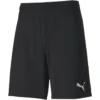 Puma TeamFINAL 21 Knit Shorts Herren Shorts