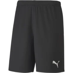 Puma TeamGOAL 23 Knit Herren Shorts