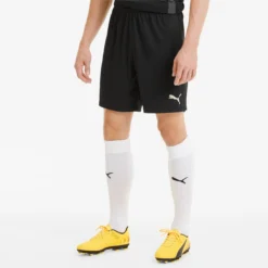 Puma TeamGOAL 23 Knit Herren Shorts -Sport 2000 Geschaft puma 704262 03 model1