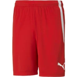 Puma TeamLIGA Herren Shorts