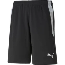 Puma TeamLIGA Referee Herren Shorts