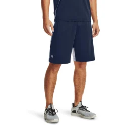 Under Armour UA Raid 2.0 Herren Shorts